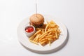 Fast food hamburger and french fries on a white plate Royalty Free Stock Photo