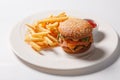 Fast food hamburger and french fries on a white plate Royalty Free Stock Photo