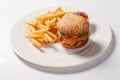 Fast food hamburger and french fries on a white plate Royalty Free Stock Photo