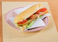 Fast food sandwich Royalty Free Stock Photo