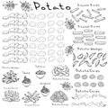 Fast Food Set. Varieties of Potatoes of Different Colors. Potato Slices and Nightshade Leaves. Potato Wedges, French Fries, Corrug Royalty Free Stock Photo