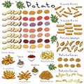 Fast Food Set. Varieties of Potatoes of Different Colors. Potato Slices and Nightshade Leaves. Potato Wedges, French Royalty Free Stock Photo