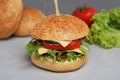 Fast food. Vegetarian Homemade Burger Cheese, Cucumber, Tomato and Lettuce, Salad. Tasty Sandwich for lunch Fresh Vegetables. Gray Royalty Free Stock Photo