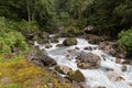 Fast forest river - endless stream Royalty Free Stock Photo