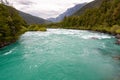 Green river with lush vegetation and rapids Royalty Free Stock Photo