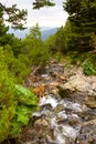 Fast mountain river Royalty Free Stock Photo