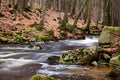 Fast mountain river Royalty Free Stock Photo