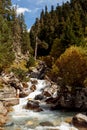 Fast mountain river in autumn green forest Royalty Free Stock Photo