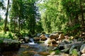 Fast mountain river with cascades in Karpacz, Poland Royalty Free Stock Photo