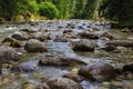 Fast mountain river in coniferous forest. Royalty Free Stock Photo