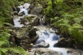 Fast mountain river flowing among mossy stones Royalty Free Stock Photo