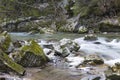 Endless stream. Beautiful fast mountain river in forest. Slovakia Royalty Free Stock Photo