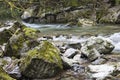 Endless stream. Beautiful fast mountain river in forest. Slovakia Royalty Free Stock Photo