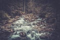 Fast mountain river Royalty Free Stock Photo