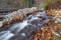 Fast mountain river in the forest in autumn season Royalty Free Stock Photo