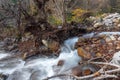 Fast mountain river in the forest in autumn season Royalty Free Stock Photo