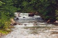 Fast mountain river in green forest with stones