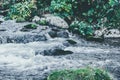 Fast mountain river in rapid flow Royalty Free Stock Photo