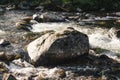 Fast mountain river in rapid flow Royalty Free Stock Photo