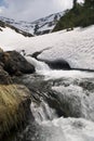 Fast mountain river in romanian carpathians Royalty Free Stock Photo