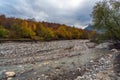 Fast mountain river and yellow autumn forest Royalty Free Stock Photo