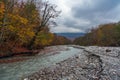 Fast mountain river and yellow autumn forest Royalty Free Stock Photo