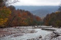 Fast mountain river and yellow autumn forest Royalty Free Stock Photo