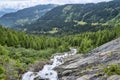 Fast mountain riveramong green alpine forest