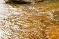 A fast mountain stream or a small mountain river Royalty Free Stock Photo