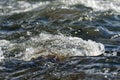 Fast mountain stream splashing and flowing over rocks on a bright sunny day Royalty Free Stock Photo