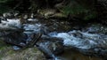 A fast-moving mountain river in a spruce forest