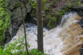 Bushkill falls nature landscape overcast day Royalty Free Stock Photo