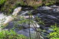 Bushkill falls whitewater river landscape Royalty Free Stock Photo
