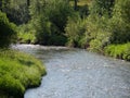 A Fast Moving Stream with Grass and Bushes on the Banks