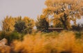 Fast-moving truck with a horse-trailer on a countryside road visible behind blurry bushes Royalty Free Stock Photo