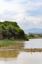Fast and muddy waters. summer Landscape with water and forests in the Azerbaijan Lankaran river Royalty Free Stock Photo