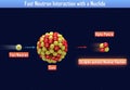 Fast Neutron Interaction with a Nuclide