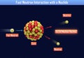 Fast Neutron Interaction with a Nuclide