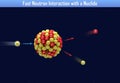 Fast Neutron Interaction with a Nuclide