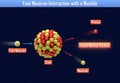 Fast Neutron Interaction with a Nuclide