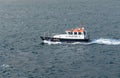 Fast pilot boat in Funchal, Madiera Royalty Free Stock Photo