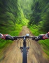 Fast ride in summer forest