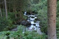 Fast river through the forest in the alps mountain. Royalty Free Stock Photo