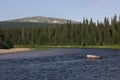 Fast river with forest and mountains on the horizon in the morning light.