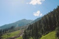 Fast River and Green Mountain Forest under the Blue Sky in Gilgit Baltistan Highlands Royalty Free Stock Photo