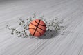 Fast rolling basketball