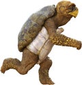 Fast Running Cartoon Turtle Isolated