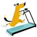 Fast running dog on treadmill. Cute racing pet. Cartoon training