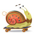 Fast snail. Cute cartoon snail on a skateboard isolated