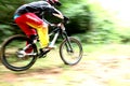 Fast speed mountain bike Royalty Free Stock Photo